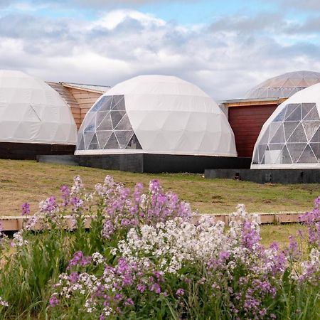 Garden Domes Villa Puerto Natales Luaran gambar