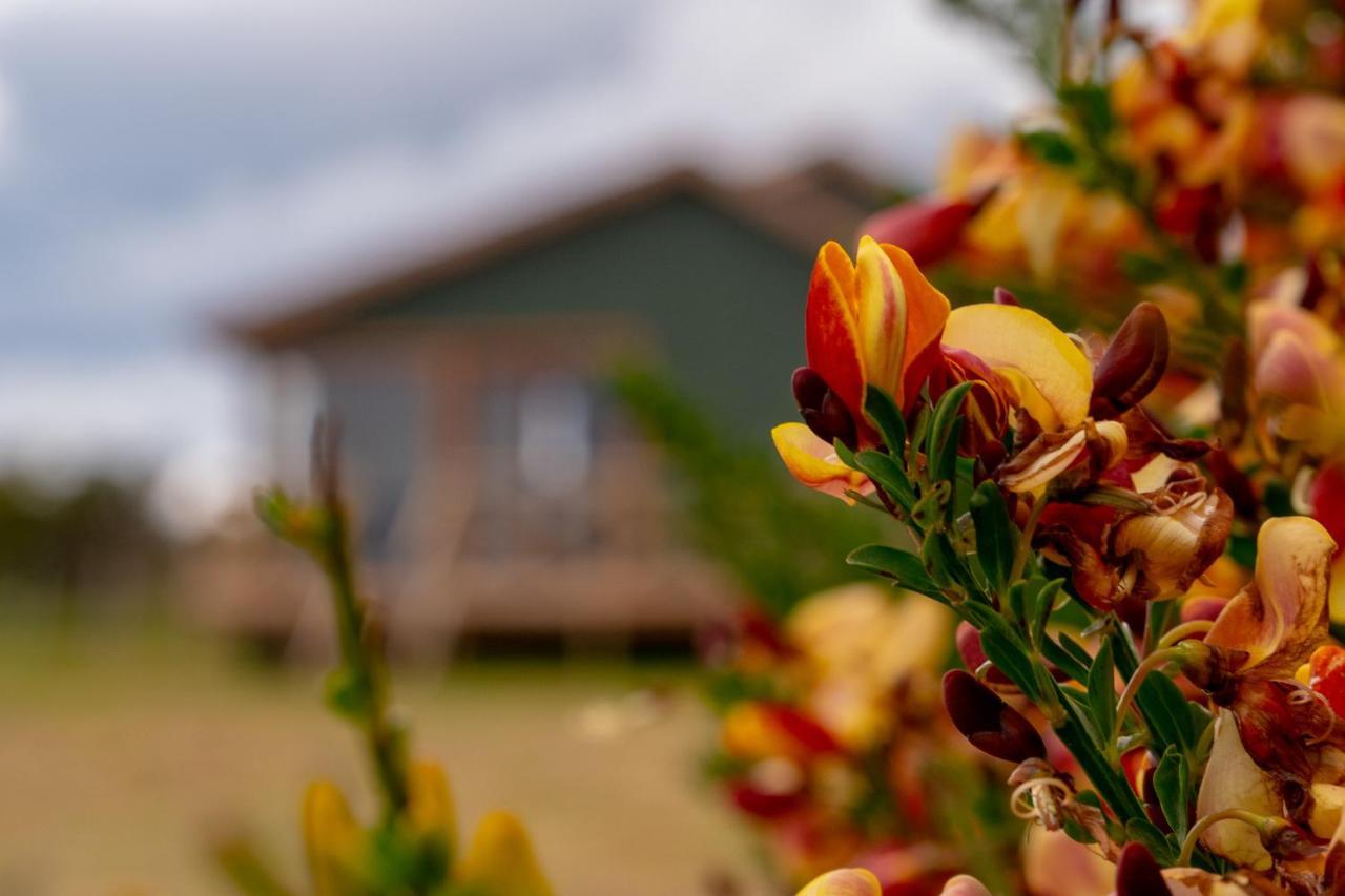 Garden Domes Villa Puerto Natales Luaran gambar