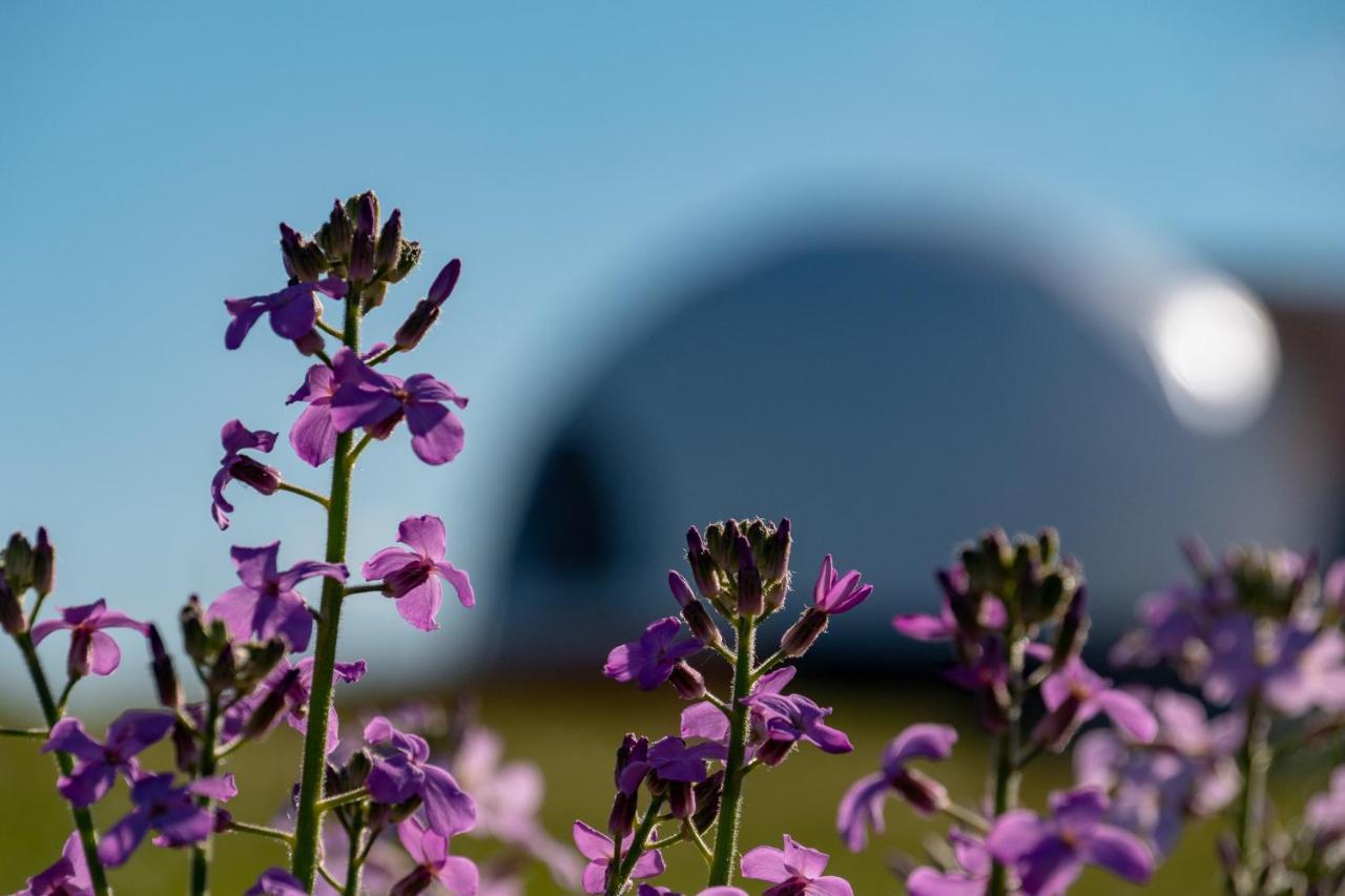 Garden Domes Villa Puerto Natales Luaran gambar