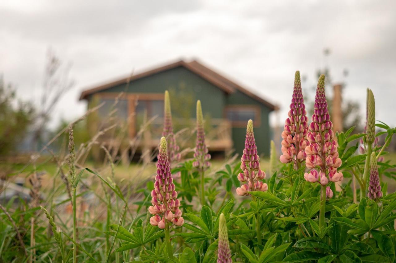 Garden Domes Villa Puerto Natales Luaran gambar