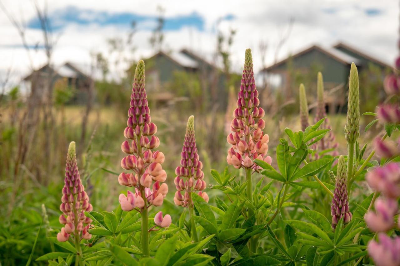 Garden Domes Villa Puerto Natales Luaran gambar