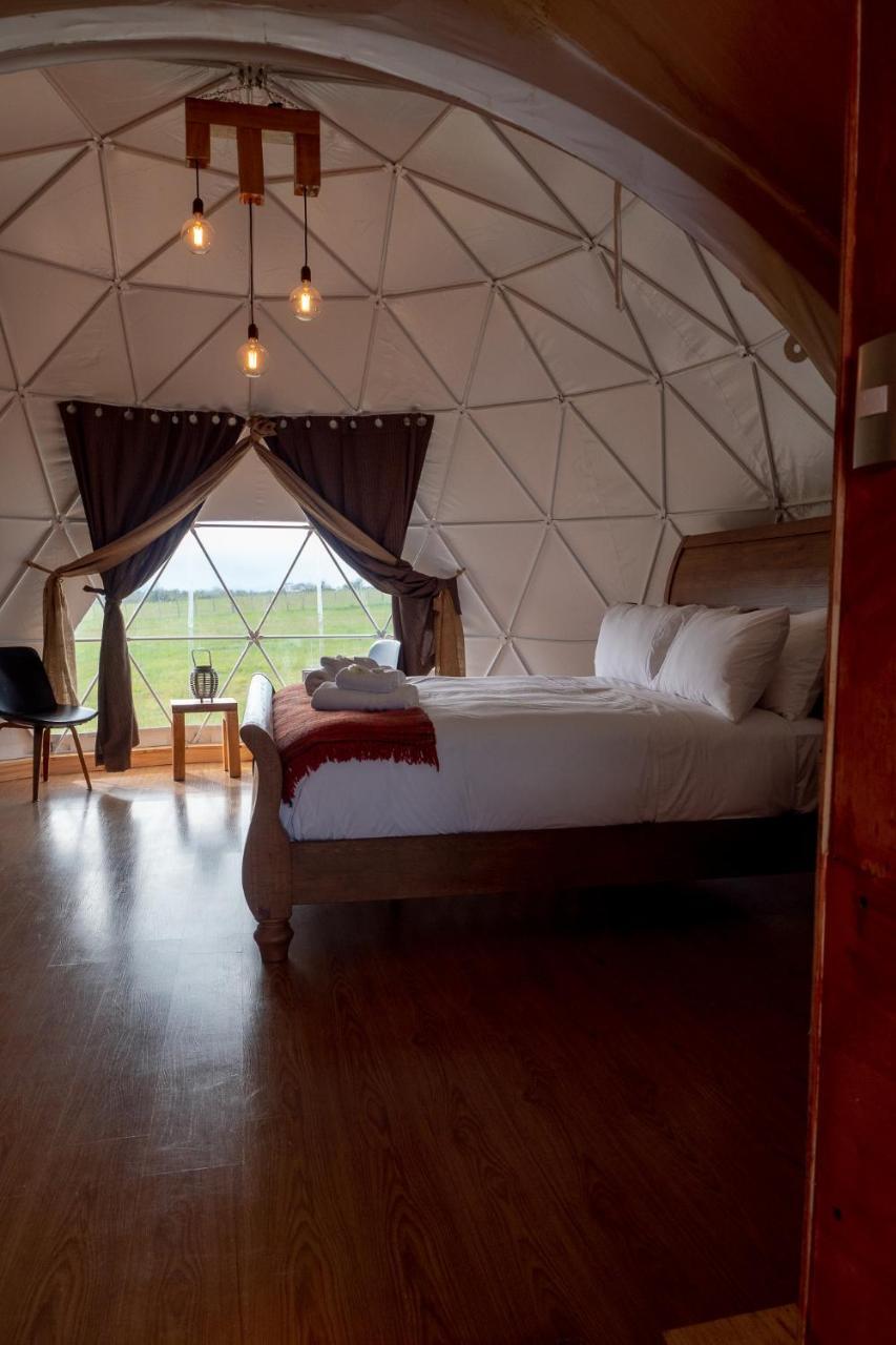 Garden Domes Villa Puerto Natales Luaran gambar