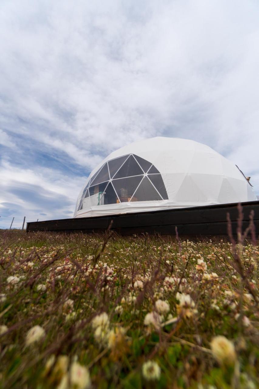 Garden Domes Villa Puerto Natales Luaran gambar